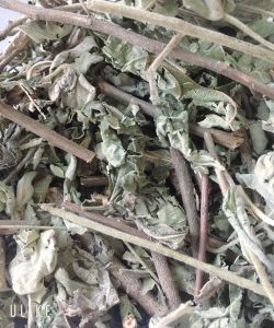 1kg Cây an xoa hoa tím - khoẻ cho lá GAN của bạn