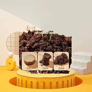 DIY Plant Growth Observation Science Experiment Kit for Kids Educational Toy