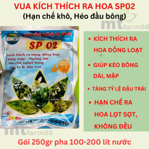 20 Gói KÍCH HOA - SIÊU KÍCH BÔNG SP02 - MAX-ONE 250g - Kích Bông Đồng Loạt - Bông Dài - Tăng Sức Sống Hạt Phấn - Tăng Tỷ Lệ Đậu Trái 1 Gói - 250g