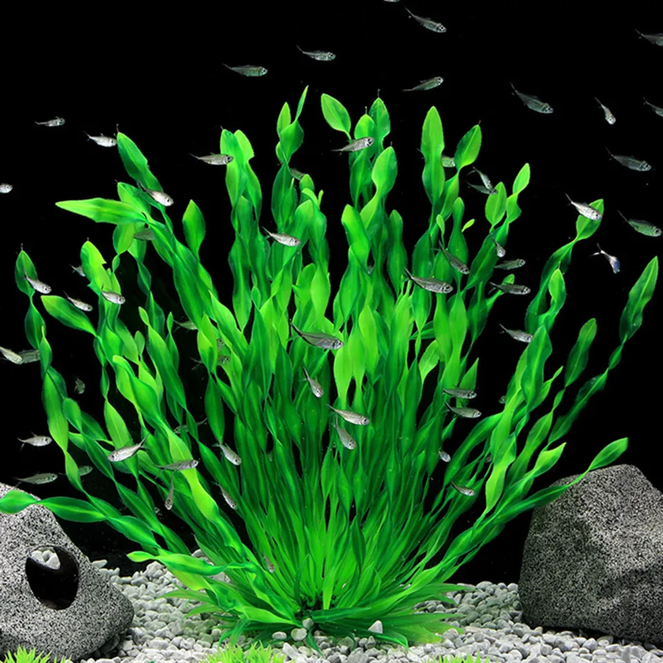 Aquarium Plant Realistic Appearance Hideout Decor Plastic Artificial Seaweed  Fish Tank Decoration for Home