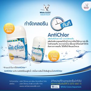Anti Chlor แอนตี้คลอ ผลิตภัณฑ์ควบคุมคลอรีนในน้ำประปาหรือน้ำที่ผ่านการฆ่าเชื้อโรคด้วยคลอรีน