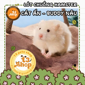 cát ấn độ (buddy nâu - ấn ) - lót chuồng cho hamster đuôi mập... - T3 PETS SHOP