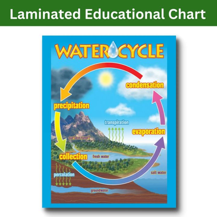 Laminated Water Cycle Chart, Educational Chart, Science Charts for Kids ...