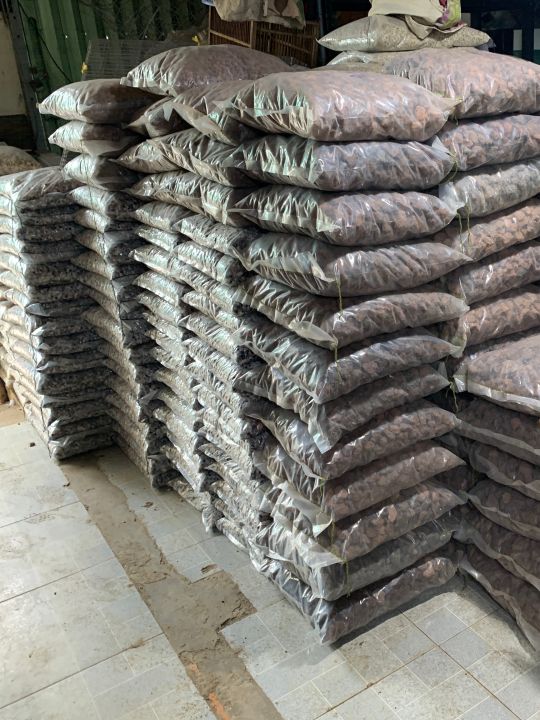 5KG%20%C4%90%C3%A1%20Nham%20Th%E1%BA%A1ch%20(Scoria)%20L%E1%BB%8Dc%20N%C6%B0%E1%BB%9Bc%20Tr%E1%BA%A3i%20N%E1%BB%81n%20H%E1%BB%93%20C%C3%A1%20-%20Gi%C3%A1%20Th%E1%BB%83%20Cho%20C%C3%A2y%20Tr%E1%BB%93ng%20-%20Image%204