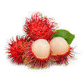 Freeze Dried Rambutan Grade A เงาะฟรีสดราย เงาะฟรีสดราย 100% ผลไม้ฟรีสดรายคุณภาพส่งออก By Garden Fruits. 