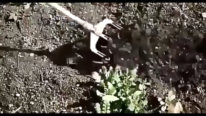 Functional Garden Soil Scarifier Rotary Cultivator Garden Loosening Tool for Lawn Maintenance and Soil Preparation