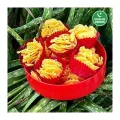 Kreyv Honey Cornflakes. 