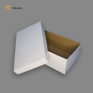( ISI 20 ) Kardus Box Sepatu Polos 32x20x12 cm Dus Sepatu Model Tutup Terpisah (Bisa custom) - Tokodus Pagarsih