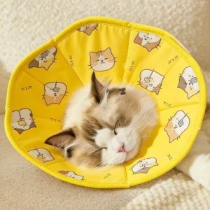 BAGUO Thoáng khí Vòng cổ Elizabeth cho thú cưng Có thể điều chỉnh Họa tiết hoạt hình Vòng cổ bảo vệ mèo Chống trầy xước Chống thấm nước Mũ bảo vệ cho thú cưng Phục hồi vết thương