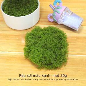 Rêu mô phỏng Rêu nhân tạo dành cho cảnh quan vi mô DIY cây cảnh vườn đá & cảnh giả-NIEVE