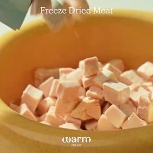 WA FOR  Freeze Dried Raw Meat Food (Big/ Small Pack) Premium Cat Food (Dry/ Treats/ Supplement)