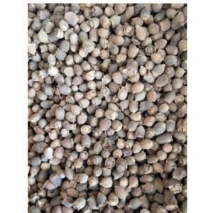 quả sim rừng khô tây bắc 1kg