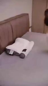 Comfortable goose down pillow Cervical pillow Ergonomic pillow sleep enhancement cervical protection