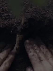 Eczema Body Wash Eczema Treatment sabun gatal kulit eczema Gatal Kulit Psoriasis Antifungal Ringwo Remove Acne Mites