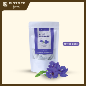 Blue Ternate Teabags 100% Pure | Figtree Farms