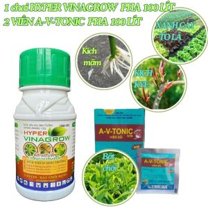 HYPER VINAGROW 100ML VÀ 2 VIÊN A-V-TONIC 4GR HIỆU PHÂN BÓN KÍCH MẦM KÍCH KYE BẬT CHỒI TO LÁ