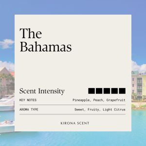 [KIRONA SCENT] Tower Nebulizer (Black) | Waterless Diffuser | FREE 100ml Pure Essential Oil