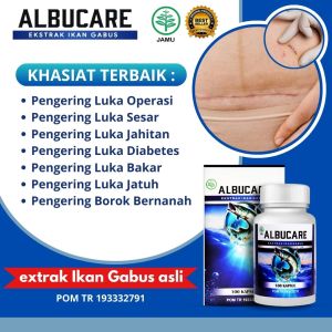 Albucare Kapsul Kutuk Ikan Gabus Albumin - Obat Pengering Luka Pasca Operasi Caesar Pengering Luka Diabetes Luka Jahitan Luka Air Panas Luka Kenalpot Asli Original BPOM