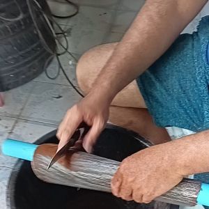 หนังวัวแท้ หนังกลองยาว เหนียวทนเสียงดี เกรด AAA