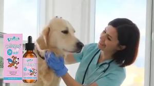 [COD] Kriath  Collagen Drops Dogs   Gentle formula hair skin care main food complemented with supplements