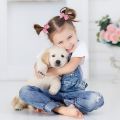 40Pcs Baby Girls 3.5'' Boutique Grosgrain Ribbon Hair Bows Elastic Hair Ties Ponytail Holder Hair Bands in Pairs for Girls Toddlers Kids Children Teens. 