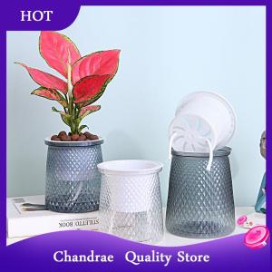 [Chandrae] Double-layer Self Watering Plant Pot Transparent Plastic Flower Vase Automatic Lazy Potted Flower Pot Hydroponic Flowerpot Decor