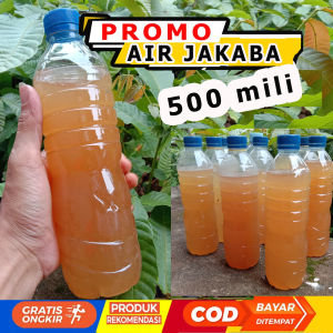 jamur jakaba berupa air siap pakai pupuk organik cair