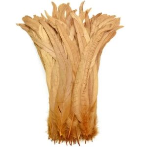 JAYQQ 20Pcs Lông vũ trang trí Lông đuôi gà trống Chiều dài 25-30cm Lông vũ tự nhiên Lông gà trống tự nhiên Bề nhẵn Lông vũ trang phục Phụ Kiện Trang Phục