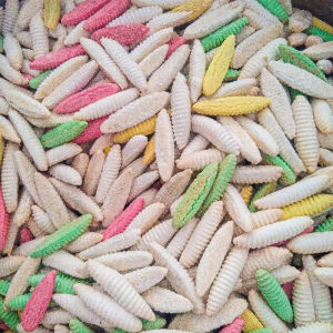 Bánh men con sâubánh đuông sữa mix đủ vị lon 300gbánh tuổi thơ