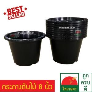 กระถางต้นไม้ กระถางดอกไม้ กระถางพลาสติก กระถางดํา กระถาง สีดํา ขนาด 8 นิ้ว Flowerpot (แพค 5 ใบ)
