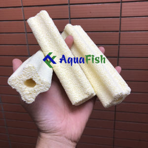 [HOÀN TIỀN 10%]Combo 10 Sứ Thanh Hoa Mai Giúp Lọc Nước Bể Cá Hồ Cá