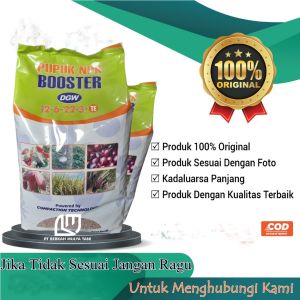 Pupuk NPK Booster Dgw 2-6-22-3+TE 5 Kg Kemasan Pabrik