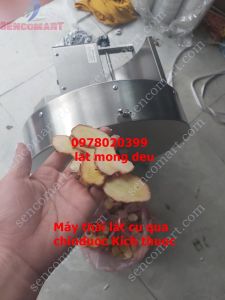 Máy thái lát  là dụng cụ cắt rau củ đa năng như Cam Chanh Quất Măng củ