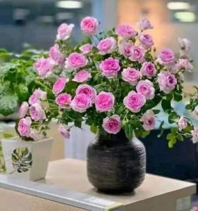 Bình Cắm Hoa Để Bàn BóngĐèn Mộc Cao 19cm Gốm Bát Tràng Loại 1 Gốm Sứ Fulo