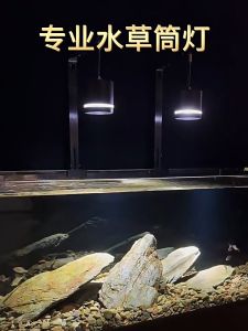 Fish Tank Pendant Light RGB Color Change including Bracket Quick Heat Dissipation Three Colors 16W 18W
