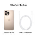 Apple iPhone 16 Pro. 