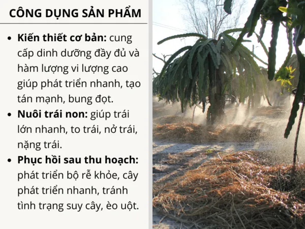 Ph%C3%A2n%20b%C3%B3n%20t%C6%B0%E1%BB%9Bi%20nh%E1%BB%8F%20gi%E1%BB%8Dt%20NPK%2020-20-20%20+TE%20t%C3%BAi%205kg%20-%20Image%206