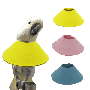 Pet Parrot Anti-Plucking Collar Wound Healings Collar for Agapornis Birds Macaws Grooming Collar Neck Circle Bird Supply
