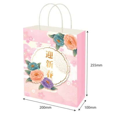 Store Age [100pcs] CNY Festive Paper Bag/Gift Bag/Goodies Bag for Chinese New Year - Size S M [Ready Stock]