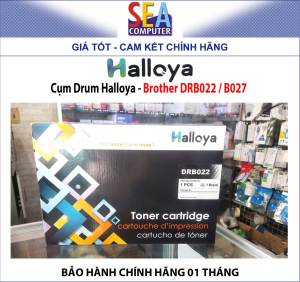 Cụm Drum Mực In Halloya - Brother DRB022 | B027