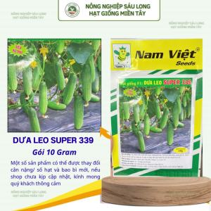 Hạt Giống F1 Dưa Leo SUPER 339 Nam Việt – Siêu Rộ Trái Trái Xanh Bóng 18–20cm – Gói 10g