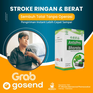 Obat Stroke Ringan Berat Pasca Paling Ampuh Antapro Bharata Original - Obat Stroke Sebelah Ampuh