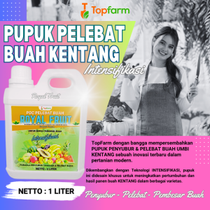 Pupuk Pembesar Buah Kentang / Pupuk Khusus Umbi / Pupuk Booster Umbi / Pupuk Untuk Umbi / Pupuk Pembesar Khusus Umbi / Pupuk Cair Pembesar Umbi