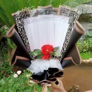 (READY BOUQUET) BUKET BONEKA WISUDA DAN SLOT UANG 10 LEMBAR /BUKET UANG KOSONG / BUKET BUNGA BONEKA / BUKET KELULUSAN /BUKET ULANG TAHUN