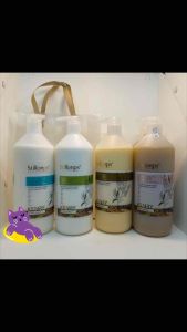 Bộ Gội Xả Dưỡng Sinh Stillonps 1000ML Phục hồi hư tổn chống gàu kích thích mọc tóc chống rụng tóc