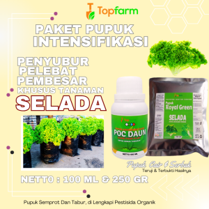 Pupuk Daun Untuk Tanaman Selada / Pupuk Penyubur Daun Selada / Pupuk Untuk Tanaman Selada / Pupuk Pelebat Daun Selada Hijau