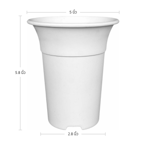 กระถาง กระถางแคคตัส กระถางปากแตร อย่างหนา 5 นิ้ว สีขาว Bundle 15 ใบ ชิ้น อัน