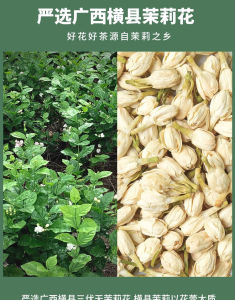 Bulk Pack Jasmine Tea Green Tea Flower Tea Combination in Triangular Tea Bags for Tea Shops Strong Aroma Jasmine Tea