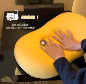 Super Soft Cat Tummy Pillow 柔软猫肚枕 🐱