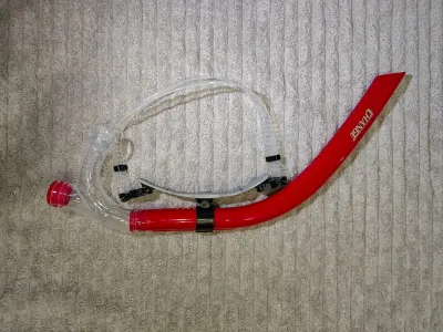 Swimming Front Snorkels